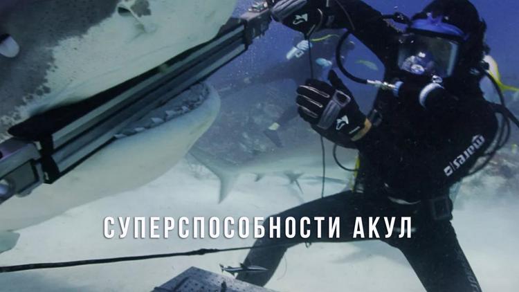 Постер Суперспособности акул