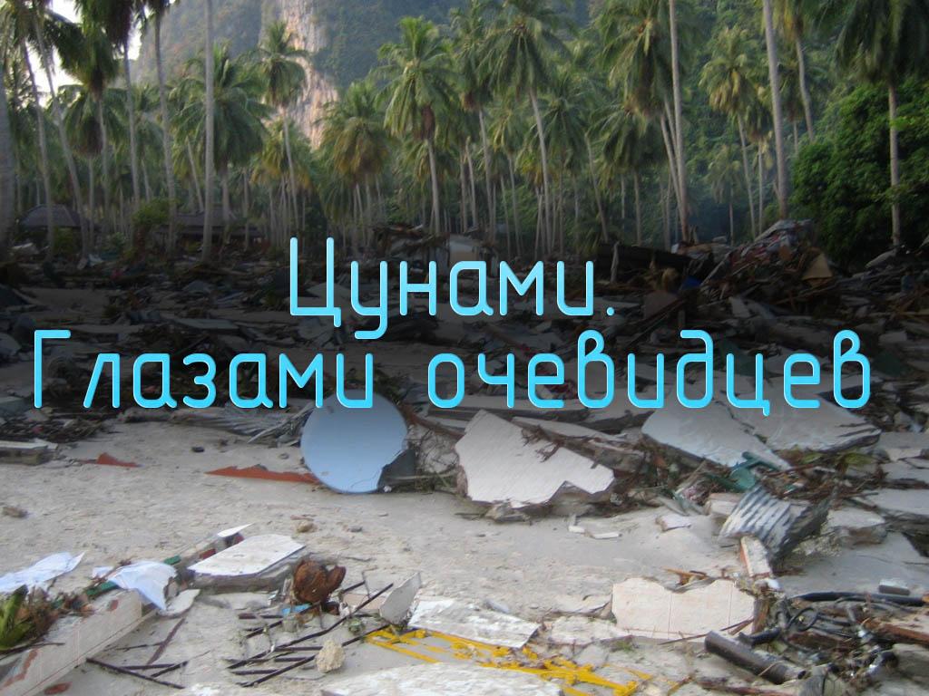 Цунами. Глазами очевидцев (tsunami-glazami-ochevidtsev) Документальный фильм