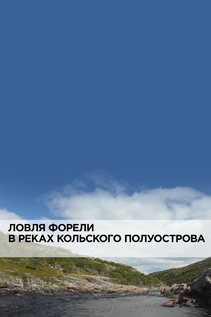 Ловля форели в реках Кольского полуострова (lovlja-foreli-v-rekah-kolskogo-poluostrova) Документальный фильм