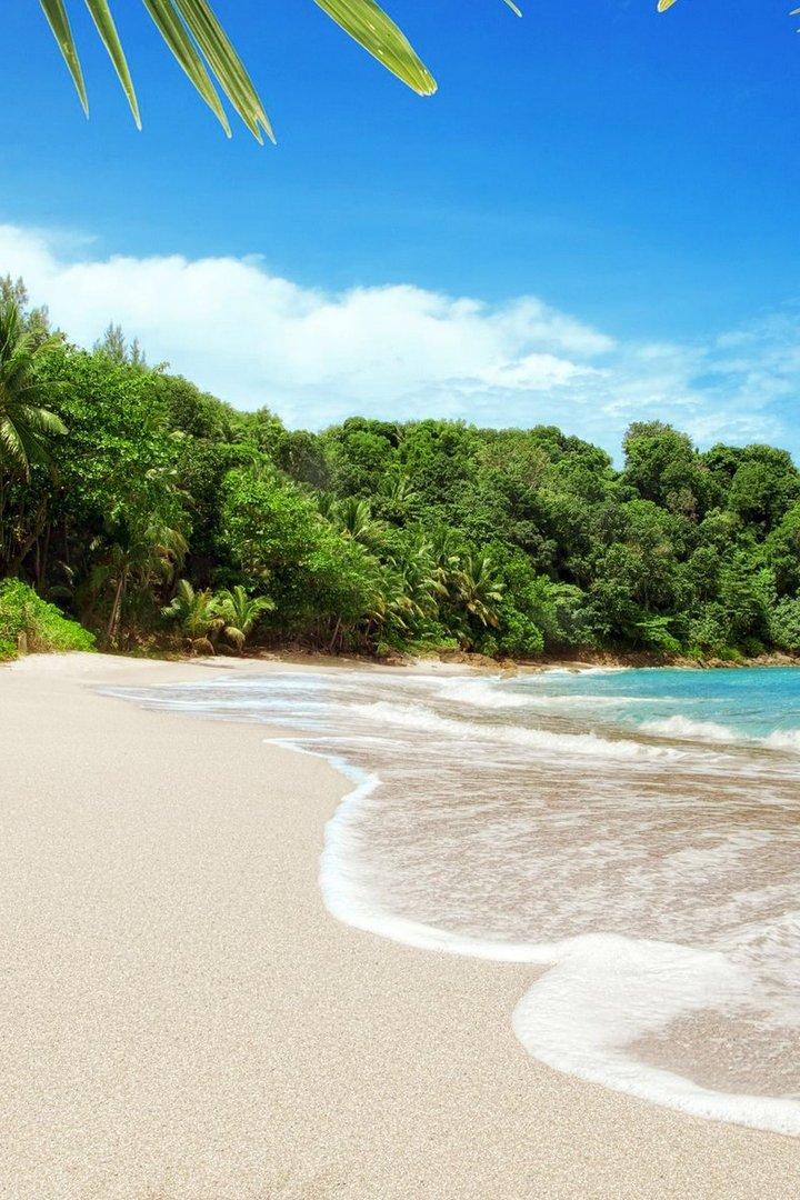 Vedete în vacanță (vedete-n-vacan) ТВ-шоу
