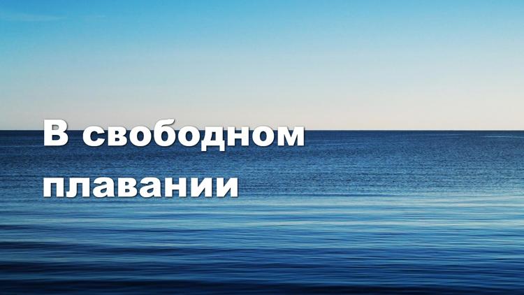 Постер В свободном плавании