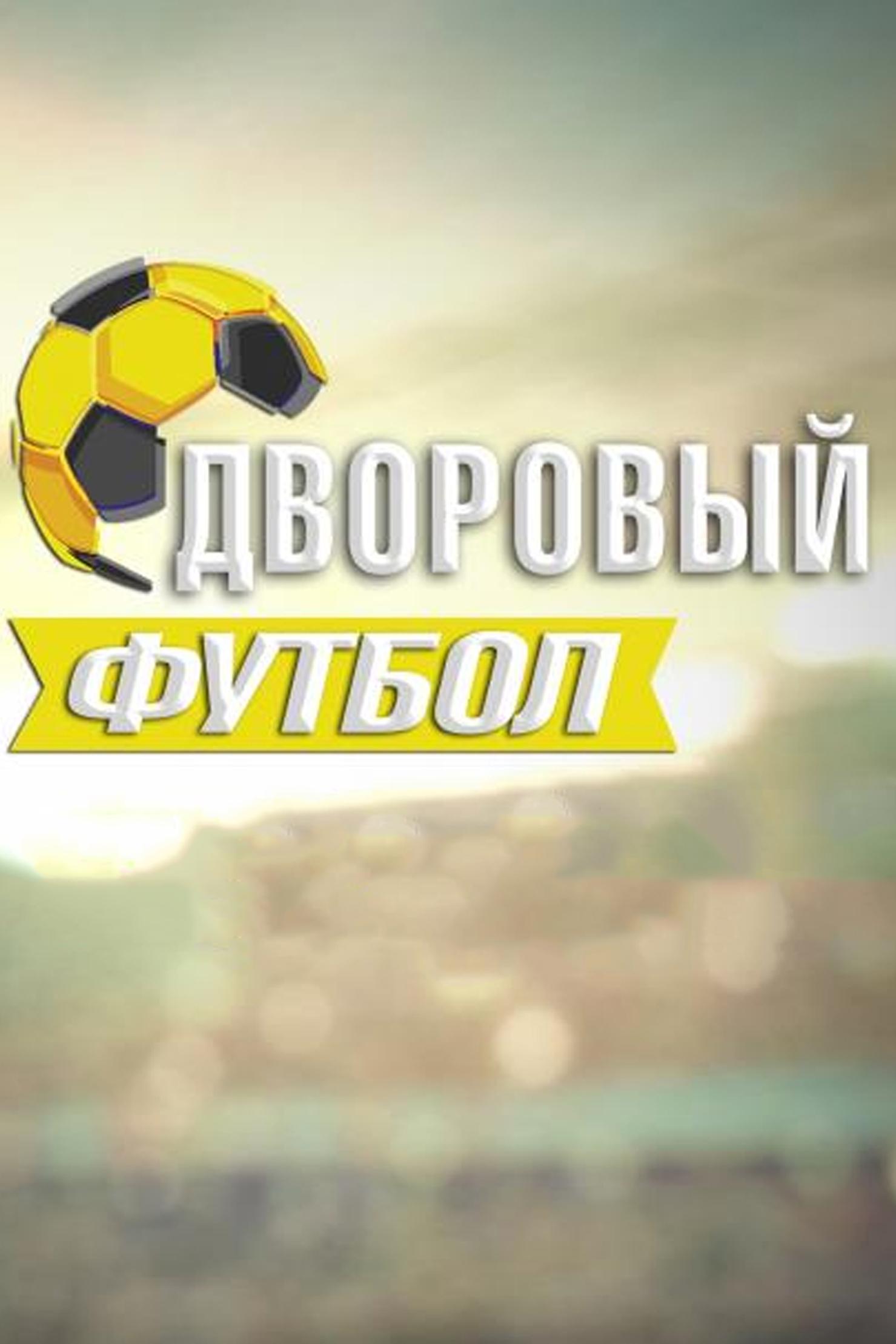 Дневник «Дворового футбола» (dnevnik-dvorovogo-futbola) Досуг, хобби