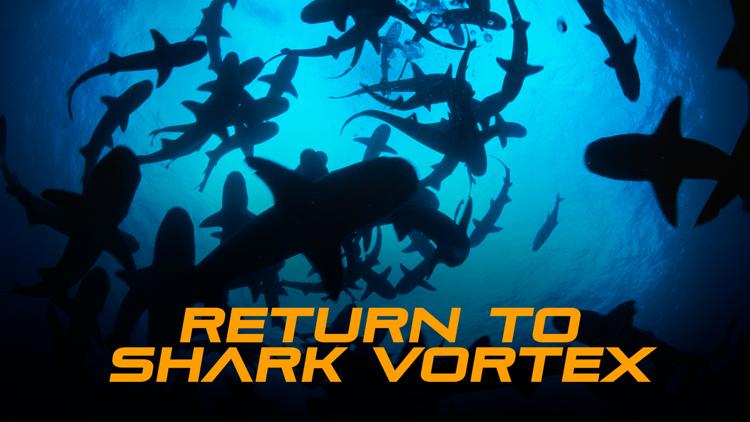 Постер Return to Shark Vortex