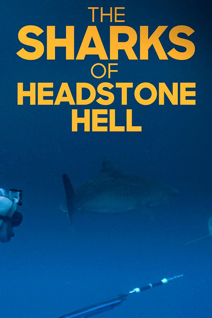 The Sharks of Headstone Hell (the-sharks-of-headstone-hell) Документальный фильм