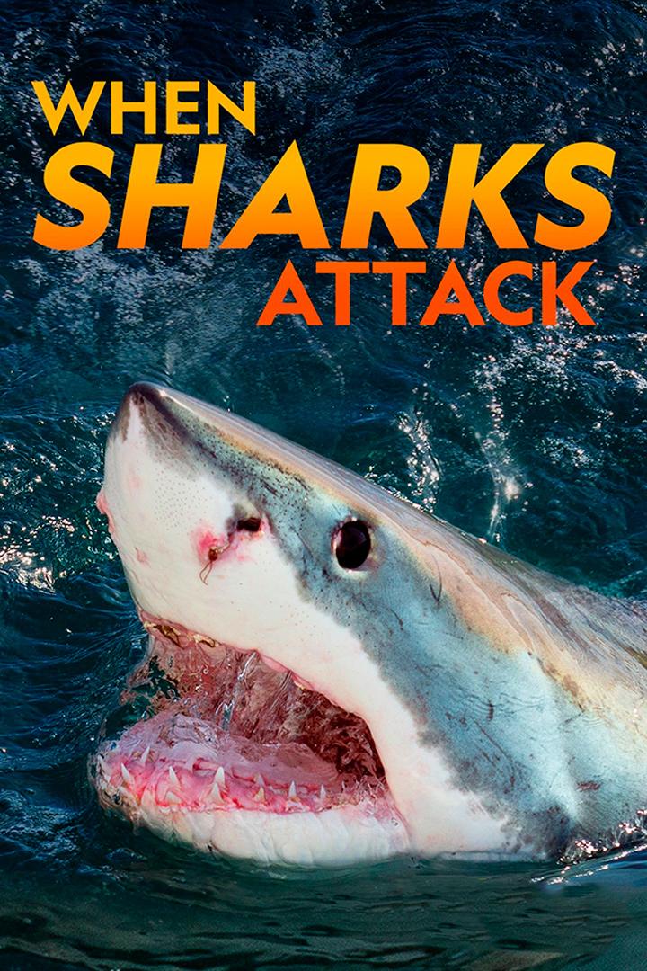 When Sharks Attack: Blood on the Water (when-sharks-attack-blood-on-the-water) Документальный сериал