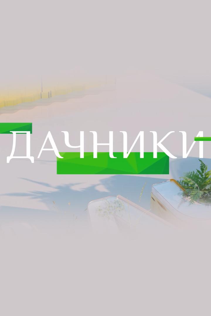 Дачники (dachniki) Другое