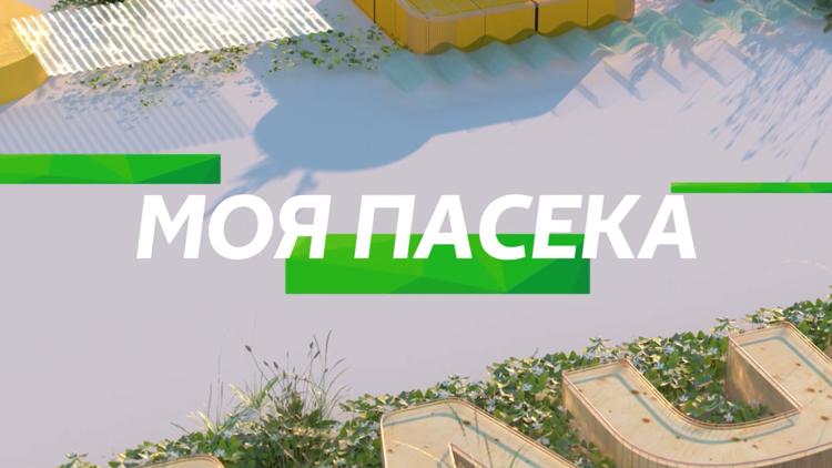 Постер Моя пасека