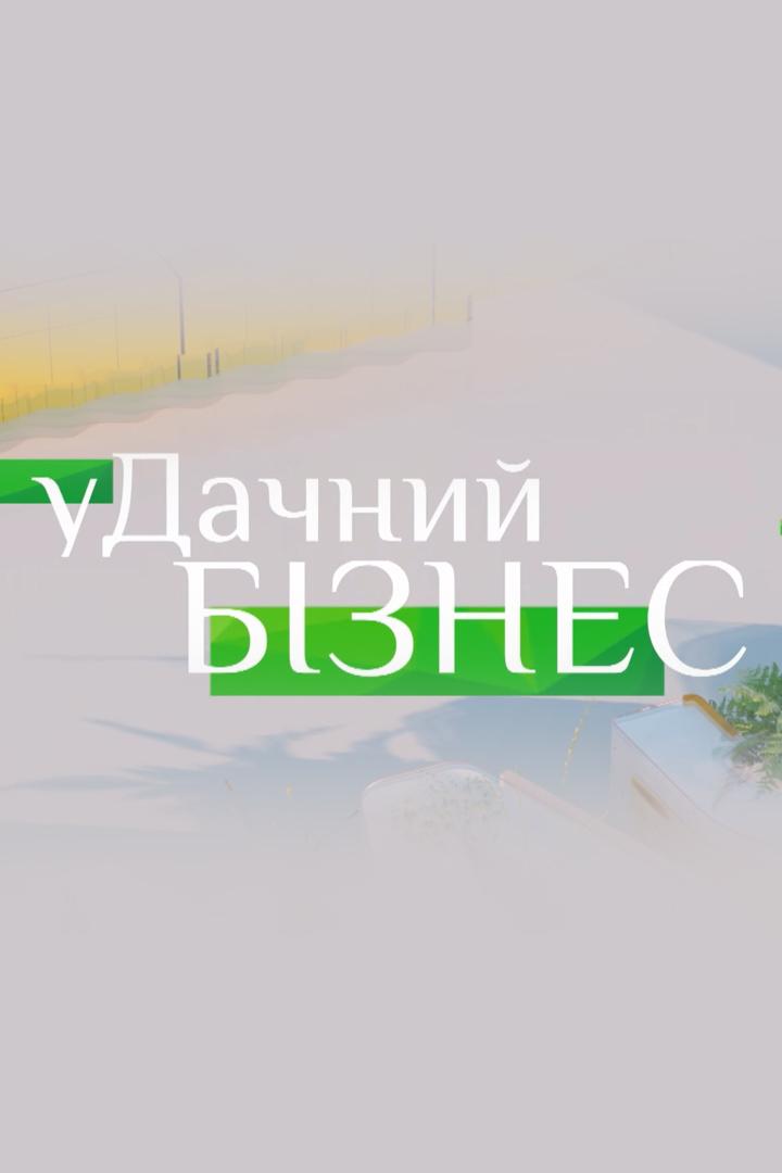 Удачный бизнес (udachnyj-biznes) Досуг, хобби