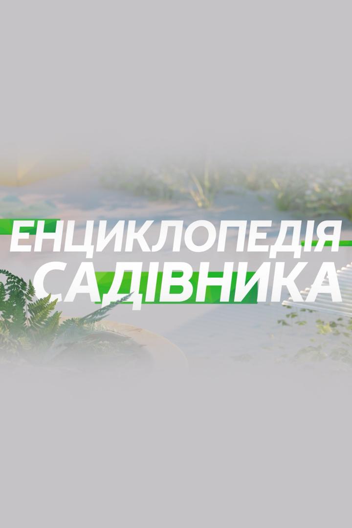 Энциклопедия садовода (entsiklopedija-sadovoda) Познавательное