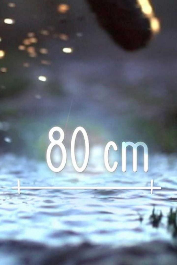80 cm (80-cm) Познавательное