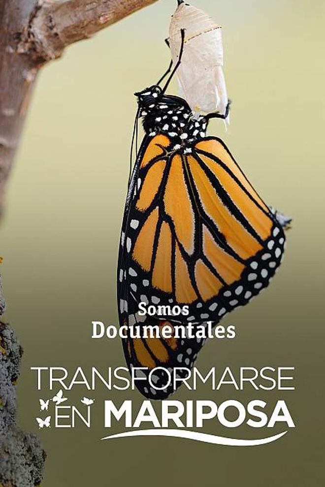 Transformarse en mariposa (transformarse-en-mariposa) Документальный фильм