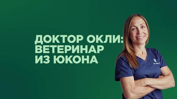 Постер Доктор Окли: Ветеринар из Юкона