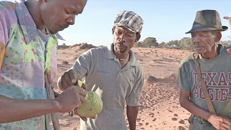 Постер Die Namib-Der Ort an dem Nichts ist