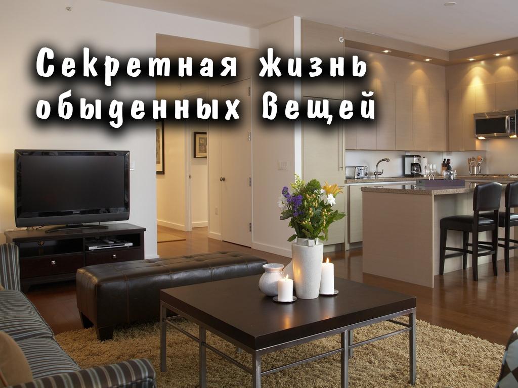 Секретная жизнь обыденных вещей (sekretnaja-zhizn-obydennyh-veschej) Досуг, хобби