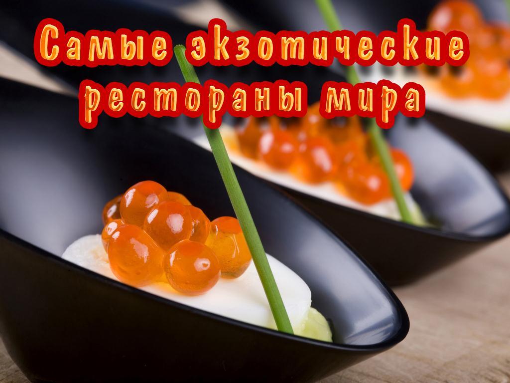 Самые экзотические рестораны мира (samye-ekzoticheskie-restorany-mira) Документальный фильм