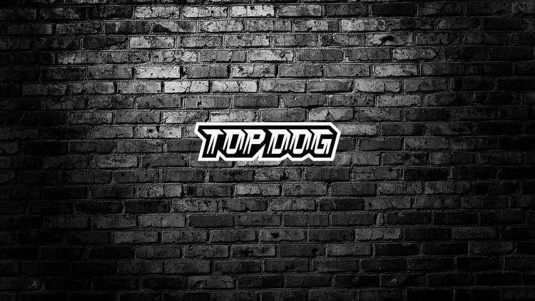 Постер Top Dog FC 4