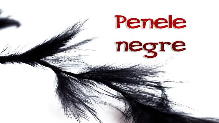 Постер Penele negre