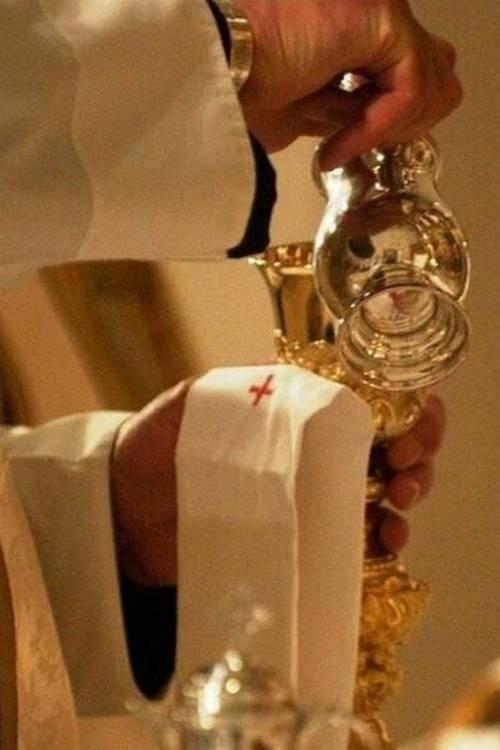 Missa da Assunção da Virgem Santa Maria (missa-da-assuno-da-virgem-santa-maria) Другое