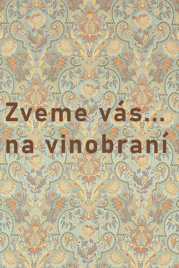 Zveme vás... na vinobraní (zveme-vs-na-vinobran) Документальный фильм