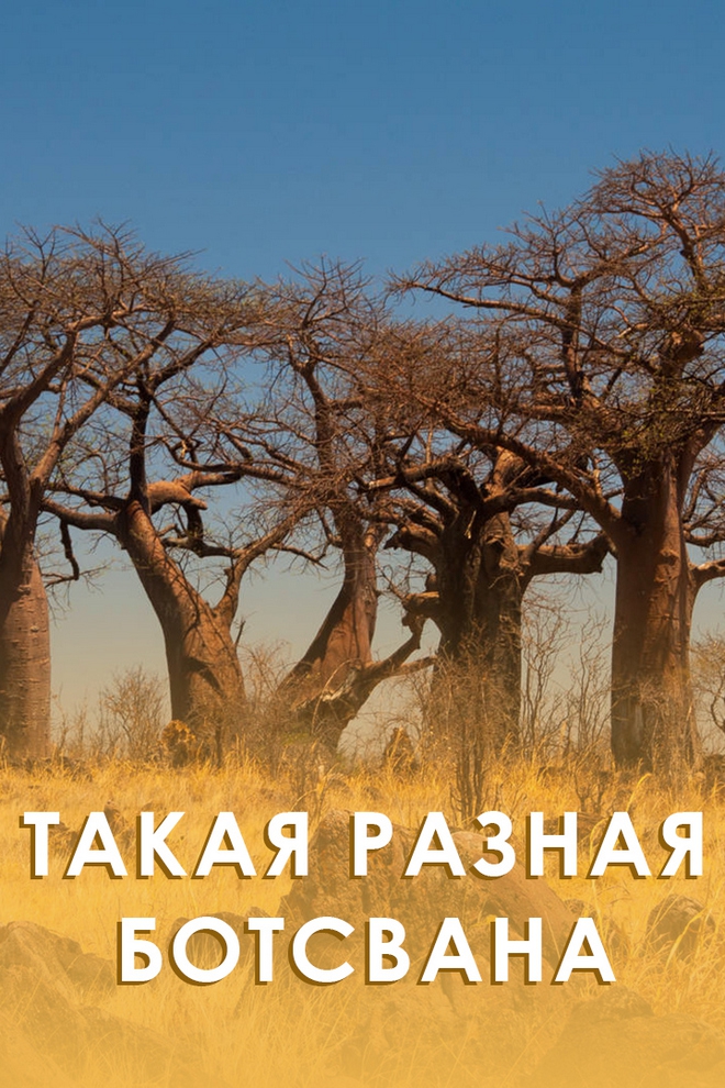 Такая разная Ботсвана (takaja-raznaja-botsvana) Документальный фильм