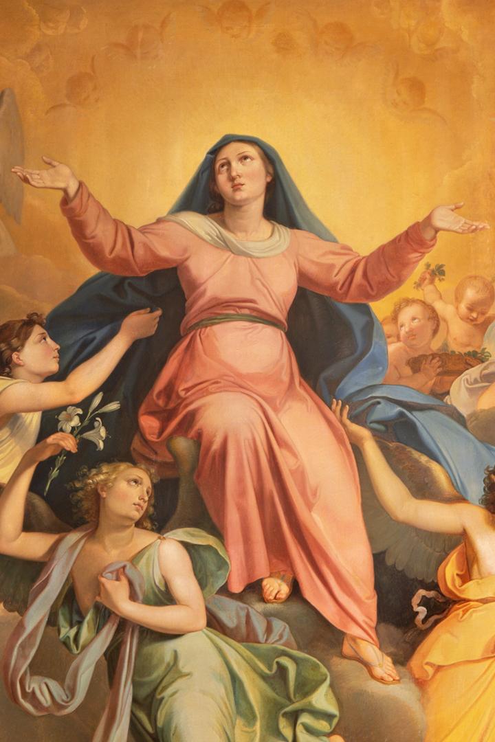 Meditations on the Assumption of Our Lady (meditations-on-the-assumption-of-our-lady) Досуг, хобби