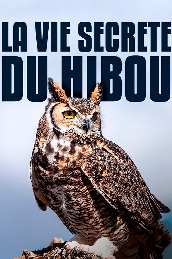 La vie secrète du hibou (la-vie-secrte-du-hibou) Документальный фильм