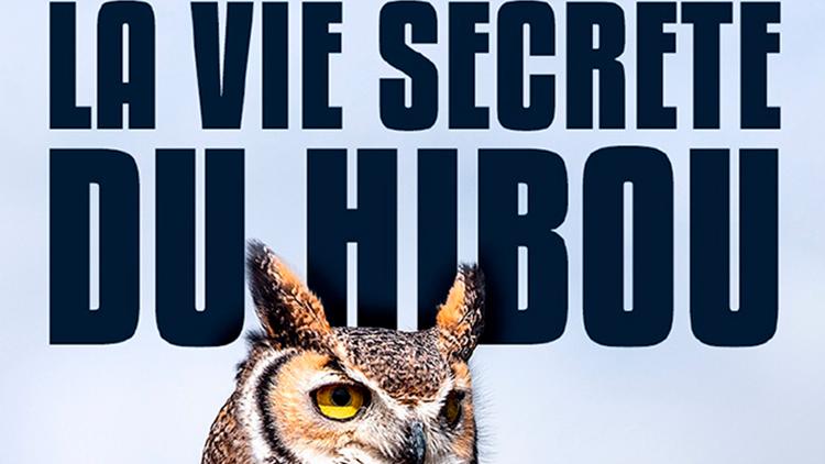 Постер La vie secrète du hibou