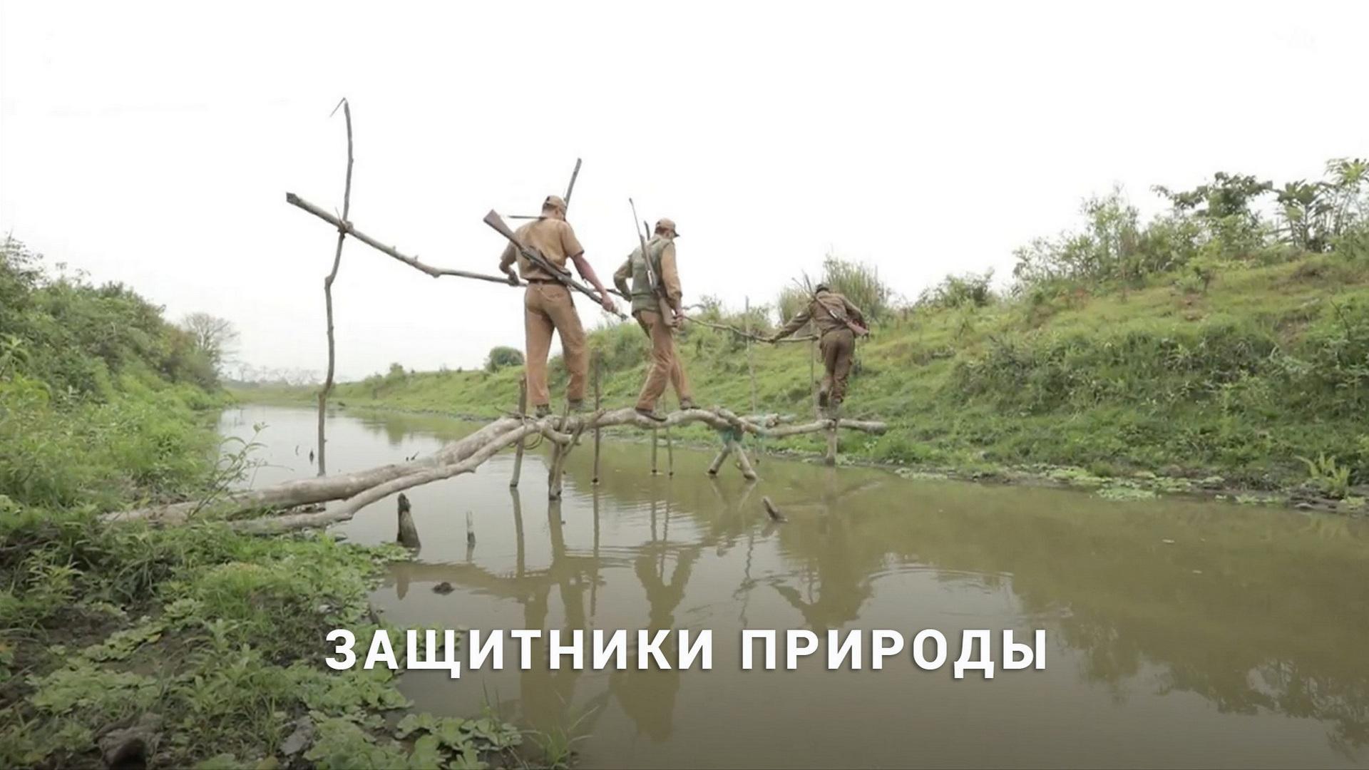 Защитники природы (zaschitniki-prirody) Документальный сериал