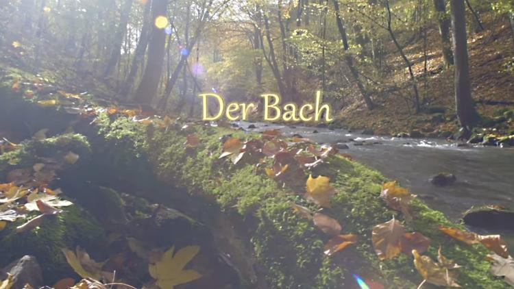 Постер Der Bach