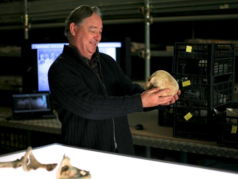 Жизнь и смерть в Помпеях и Геркулануме (zhizn-i-smert-v-pompejah-i-gerkulanume) Документальный фильм