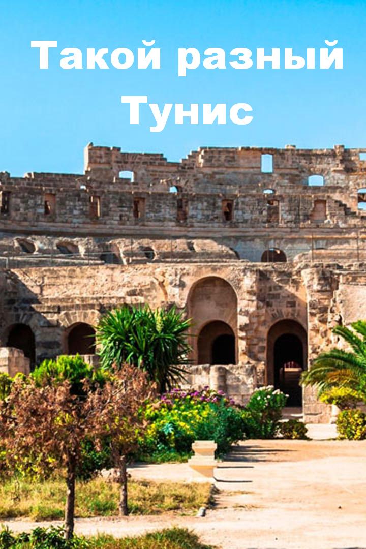 Такой разный Тунис (takoj-raznyj-tunis) Документальный фильм