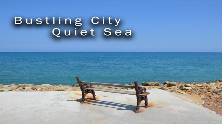 Постер Bustling City, Quiet Sea