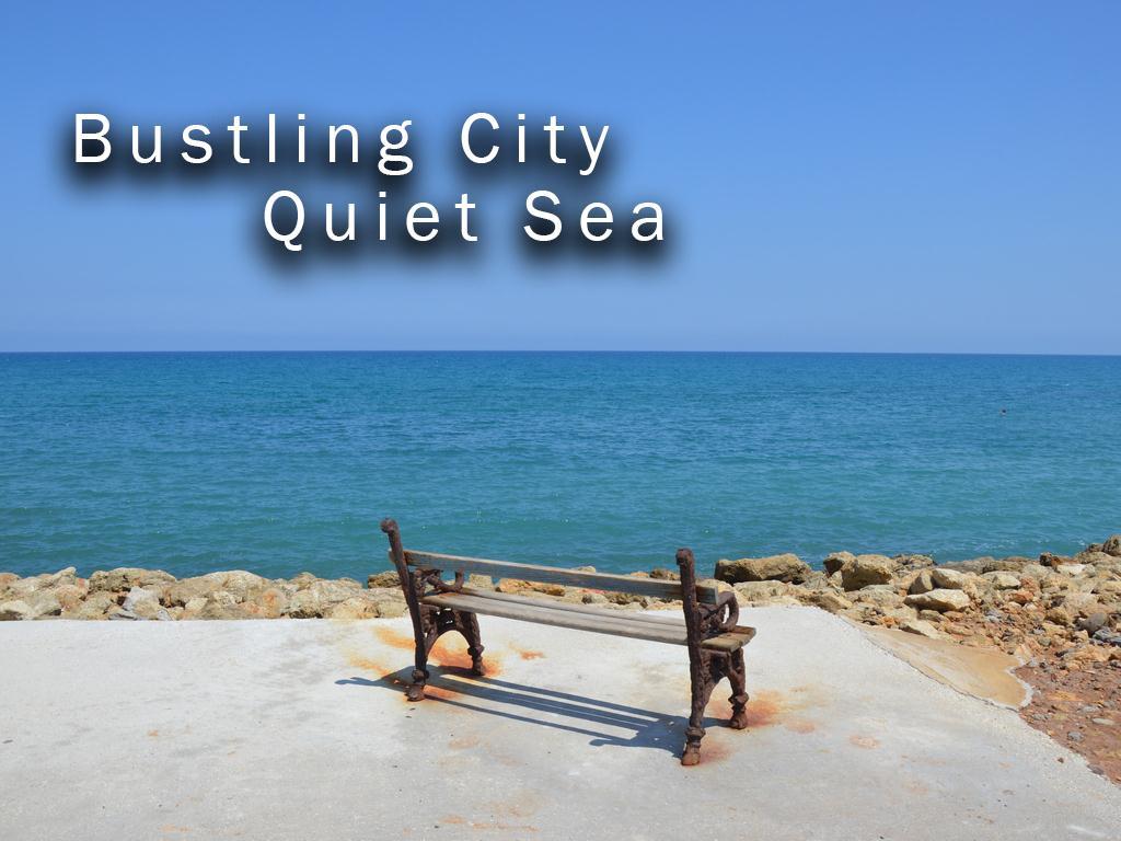Bustling City, Quiet Sea (bustling-city-quiet-sea) Фильм 2016