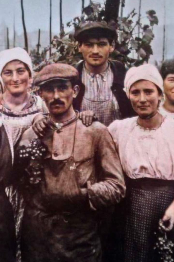 L'épopée des vignerons (lpope-des-vignerons) Документальный фильм