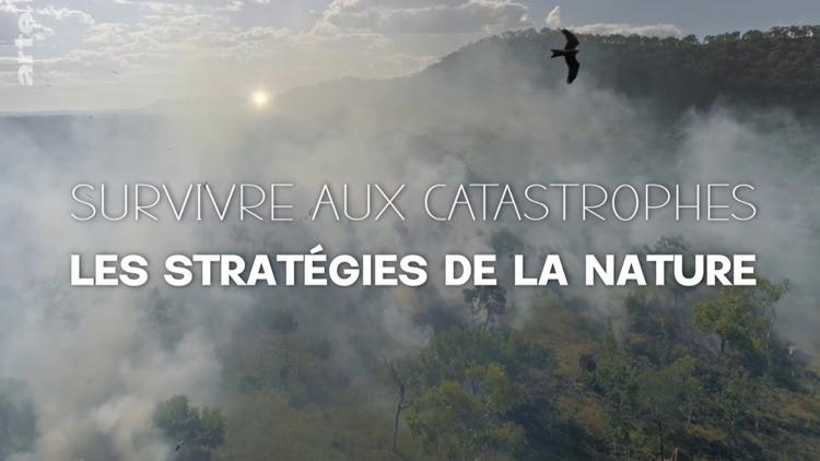 Постер Survivre aux catastrophes: les stratégies de la nature