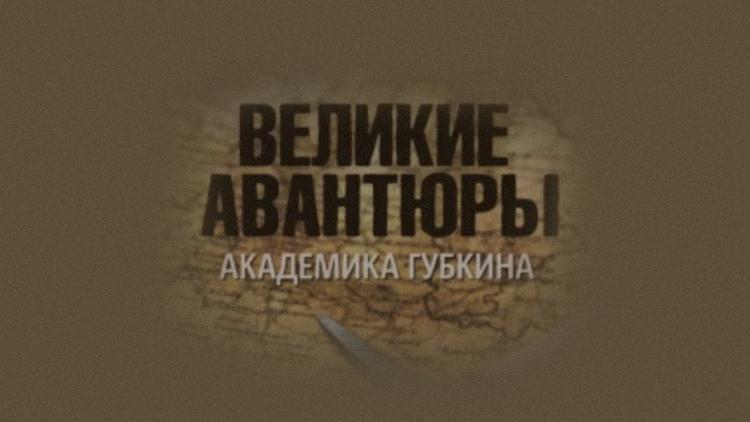 Постер Великие авантюры академика Губкина