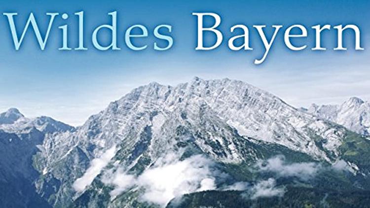 Постер Wildes Bayern