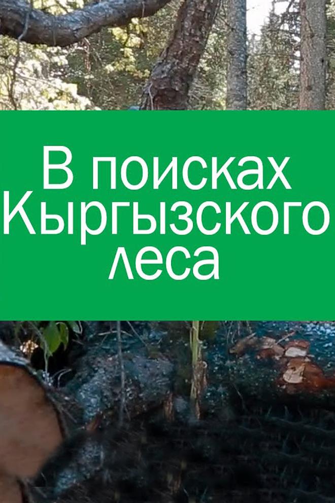 В поисках Кыргызского леса (v-poiskah-kyrgyzskogo-lesa) Документальный фильм