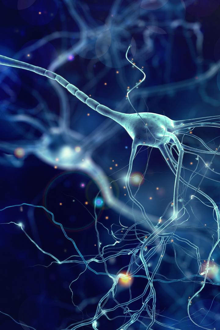 Valutazione neuropsicologica e neuroriabilitazione cognitiva (valutazione-neuropsicologica-e-neuroriabilitazione-cognitiva) Познавательное