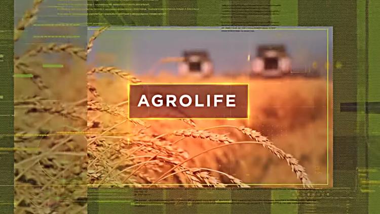 Постер Agro life