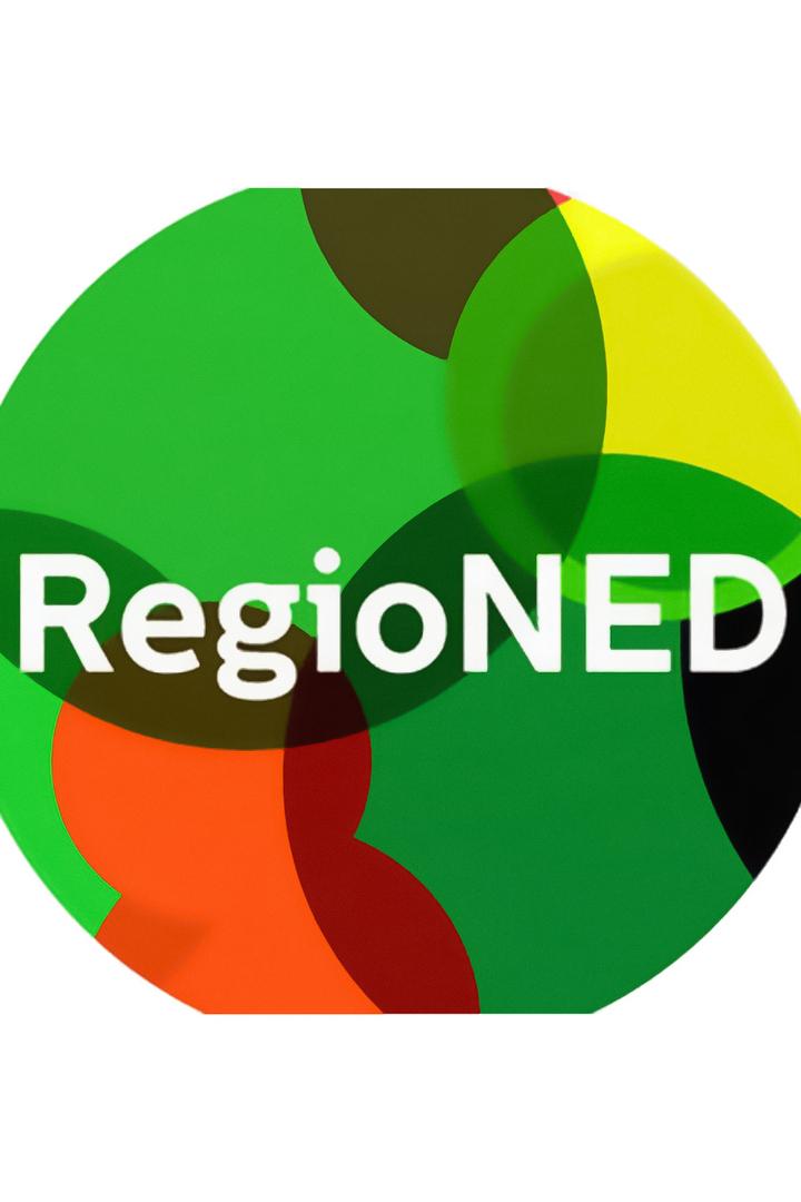 RegioNED (regioned) Другое