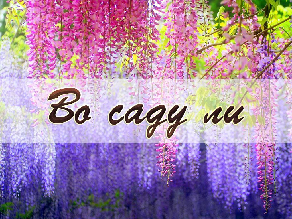 Во саду ли (vo-sadu-li) Познавательное