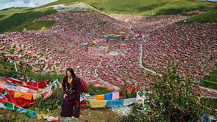 Постер Tibet, le chemin des vents