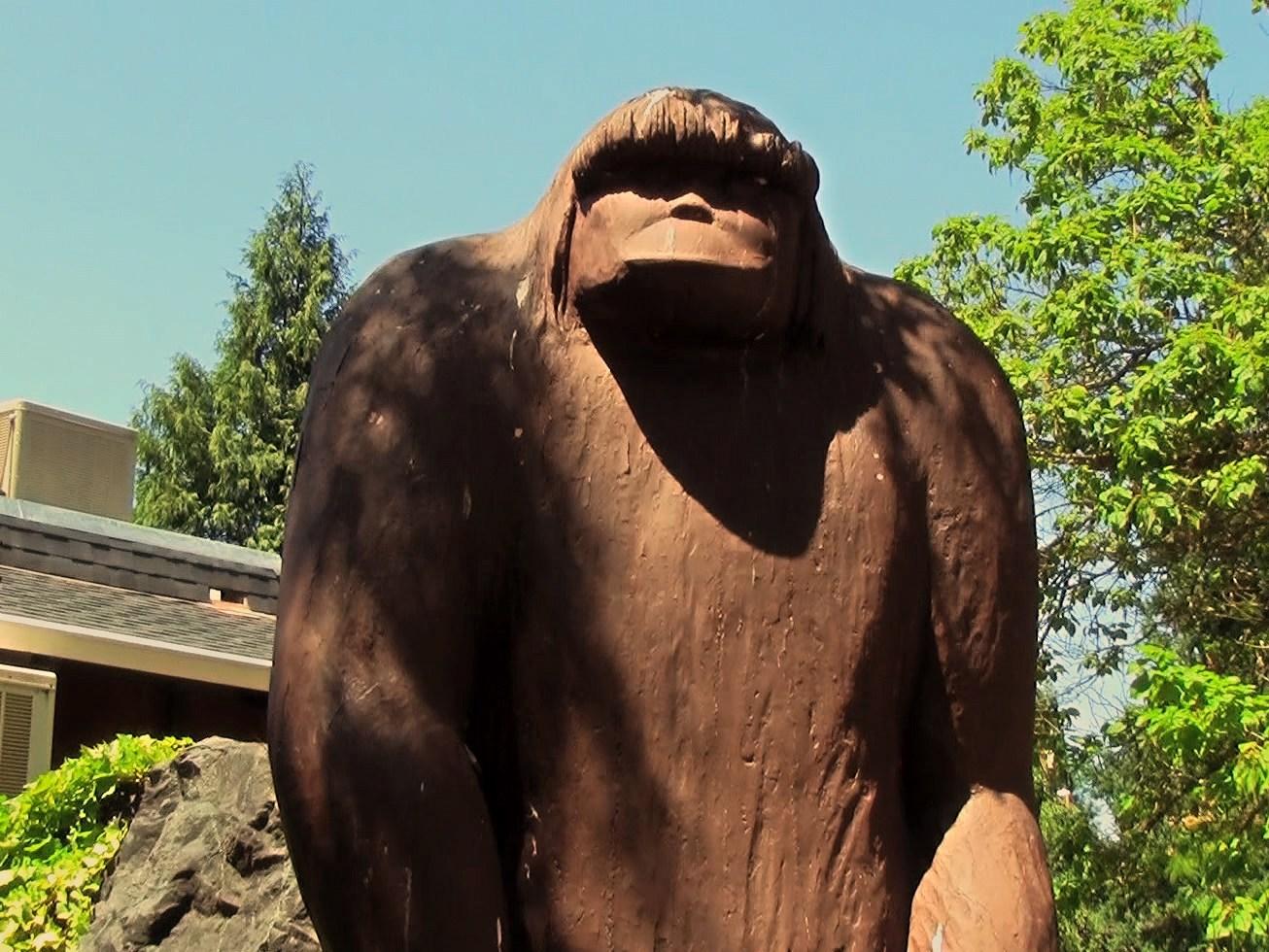 Уиллоу Крик (uillou-krik) Фильм 2013