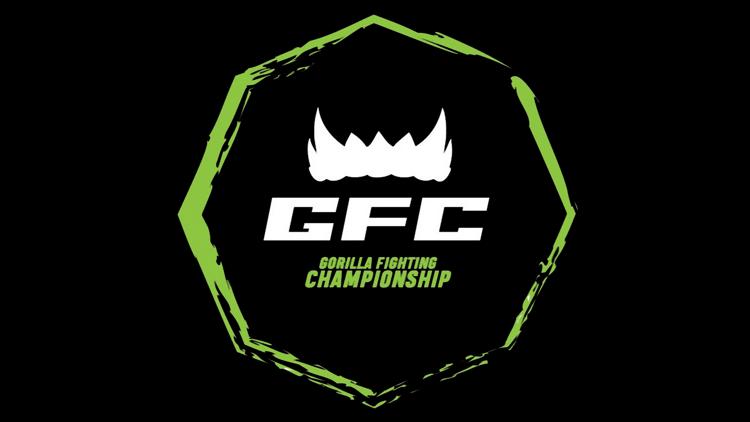 Постер Gorilla fighting championship