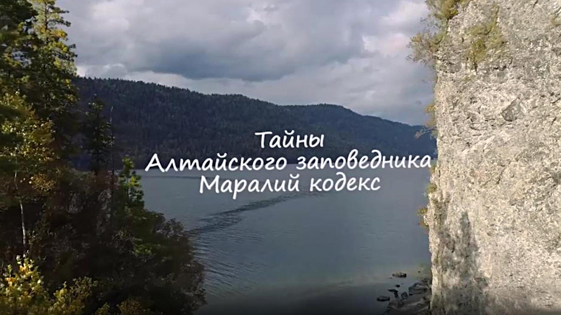 Тайны Алтайского заповедника. Маралий кодекс (tajny-altajskogo-zapovednika-maralij-kodeks) Документальный фильм