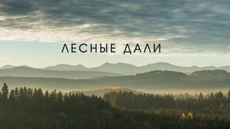 Постер Лесные дали