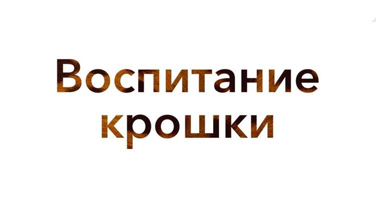 Постер Воспитание крошки