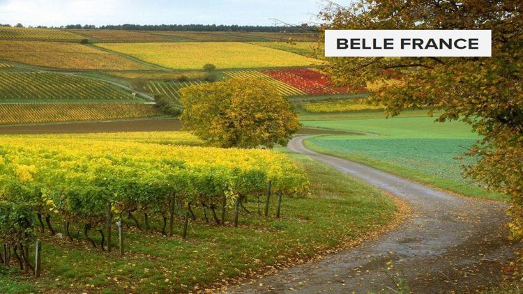 Постер Belle France