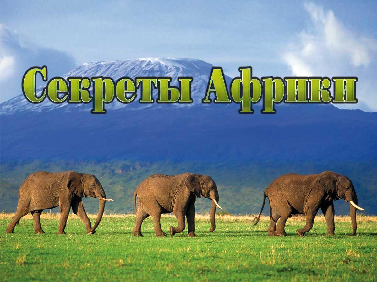 Секреты Африки (sekrety-afriki) Документальный фильм